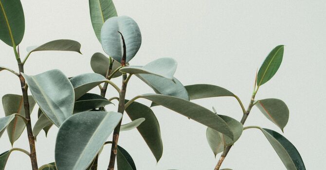 Social Work (Miramichi Area or Virtual Care)