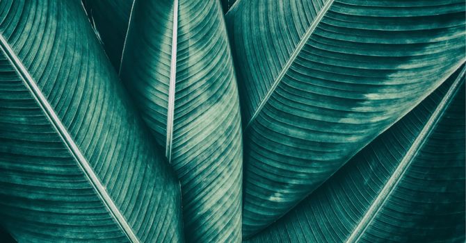 Play Therapy / Child Counselling (Miramichi Area)